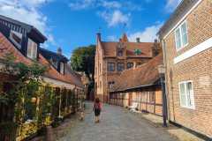 WhatsApp-Image-2023-09-04-at-10.38.52-5